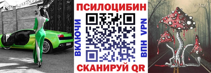 Галлюциногенные грибы прущие грибы  Гаврилов-Ям 